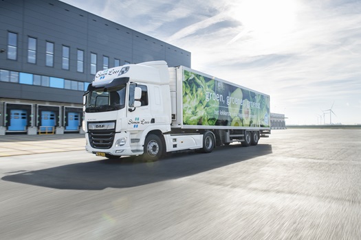 DAF-Electric-Albert-Heijn-2